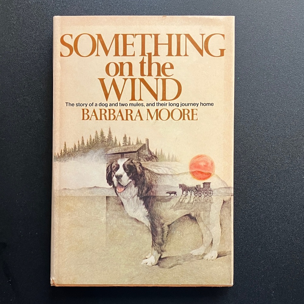 Vintage YA Fiction Book